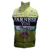 2012 VINI Fantini Windproof Vest Cycling Vest Jersey Sleeveless Ropa Ciclismo Only Cycling Clothing  cycle jerseys Ciclismo bicicletas maillot ciclismo  cycle jerseys