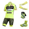 2014 vini fantini Cycling Jersey Maillot Ciclismo Short Sleeve and Cycling bib Shorts Or Shorts and Shoe Cover and Arm Sleeve and Gloves Tour De France XXS