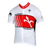 2014 Wilier Cycling Jersey Ropa Ciclismo Short Sleeve Only Cycling Clothing cycle jerseys Ciclismo bicicletas maillot ciclismo XXS