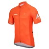 2015 Strava Cycling Jersey Ropa Ciclismo Short Sleeve Only Cycling Clothing cycle jerseys Ciclismo bicicletas maillot ciclismo XXS
