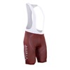2016 AG2R  Cycling Ropa Ciclismo bib Shorts Only Cycling Clothing cycle jerseys Ciclismo bicicletas maillot ciclismo XXS