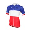 2017 fdj Cycling Jersey Ropa Ciclismo Short Sleeve Only Cycling Clothing cycle jerseys Ciclismo bicicletas maillot ciclismo XXS