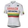 2017 BAHRAIN MERIDA Lithuanian champion Cycling Jersey Ropa Ciclismo Short Sleeve Only Cycling Clothing cycle jerseys Ciclismo bicicletas maillot ciclismo