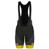 2017 DIRECT ENERGIE Cycling Ropa Ciclismo bib Shorts Only Cycling Clothing cycle jerseys Ciclismo bicicletas maillot ciclismo