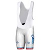 FRANCAISE DES JEUX 2017 JERSEY - FRENCH CHAMPION Cycling Ropa Ciclismo bib Shorts Only Cycling Clothing cycle jerseys Ciclismo bicicletas maillot ciclismo XXS