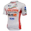 2017 Sangemini  Sprandi Cycling Jersey Ropa Ciclismo Short Sleeve Only Cycling Clothing cycle jerseys Ciclismo bicicletas maillot ciclismo