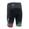 2013 nw Cycling Shorts Only Cycling Clothing S