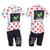 2013 movistar Cycling Jersey Short Sleeve and Cycling Shorts Cycling Kits