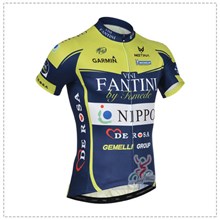 2014 vini fantini Cycling Jersey Short Sleeve Only Cycling Clothing