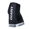 2014 Giant Cycling Shorts Only Cycling Clothing