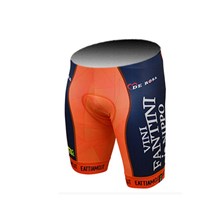 2015 VINI FANTINI Cycling Shorts Ropa Ciclismo Only Cycling Clothing cycle jerseys Ciclismo bicicletas maillot ciclismo XXS