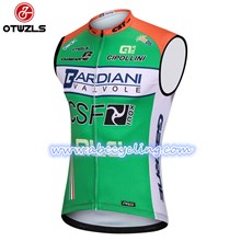 2018 BARDIANI CSF ALE Cycling Vest Jersey Sleeveless Ropa Ciclismo Only Cycling Clothing cycle jerseys Ciclismo bicicletas maillot ciclismo cycle jerseys S
