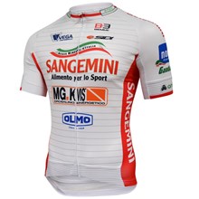 2017 Sangemini  Sprandi Cycling Jersey Ropa Ciclismo Short Sleeve Only Cycling Clothing cycle jerseys Ciclismo bicicletas maillot ciclismo XS